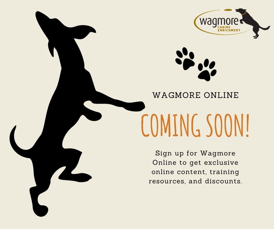 WagmoreOnlineComingSoon (2)